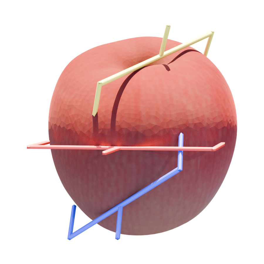 Single-object apple reconstruction render